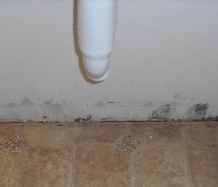 Photo of mold damage due to leaking pipe