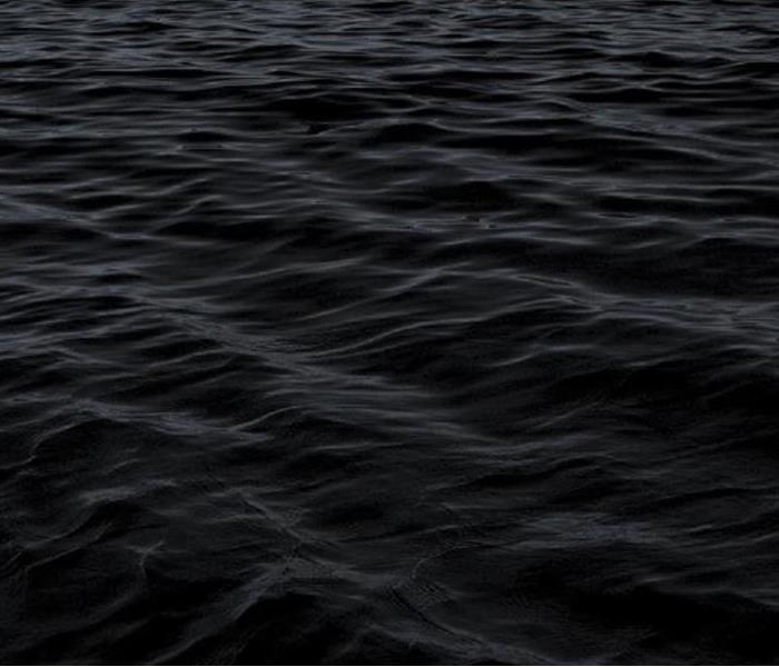 Photo of Black Water