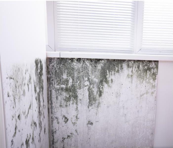 mold damage under a window on a white wall